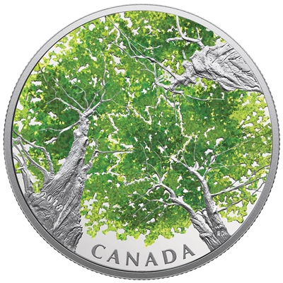 2018 $30 Canadian Canopy - The Maple Leaf Fine Silver Coin (No Tax)