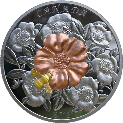 2019 Canada $50 The Bumble Bee & the Bloom Yellow & Rose Gold Plated Silver Coin