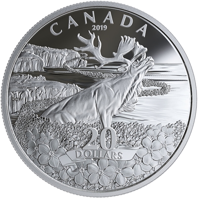 2019 Canada $20 Forget-Me-Not Fine Silver Coin (No Tax)