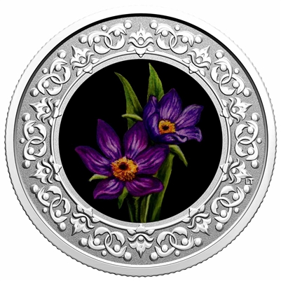 2020 $3 Floral Emblems of Canada - Manitoba Prairie Crocus Silver (No Tax)