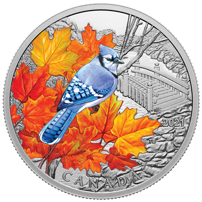 2021 Canada $20 Colourful Birds - Blue Jay Fine Silver (No Tax)