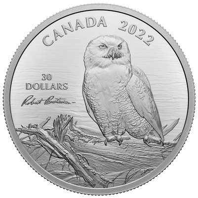 2022 Canada $30 Snowy Owl on Driftwood by Robert Bateman Fine Silver (No Tax)