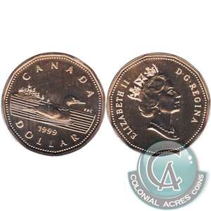 1999 Canada Loon Dollar Specimen