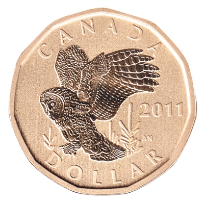2011 Canada Great Gray Owl Dollar Specimen