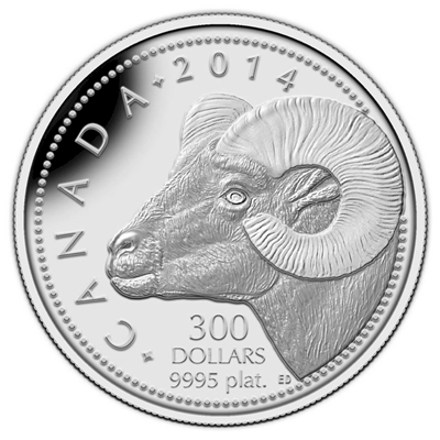 2014 Canada $300 Rocky Mountain Bighorn Sheep Platinum (No Tax) Small scratch on capsule