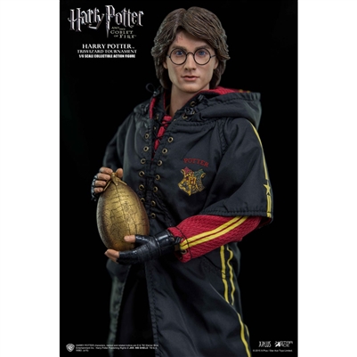 Harry Potter Goblet of Fire (Triwizard)  SA0008 Star Ace Toys