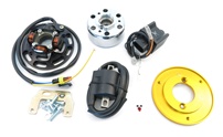 HPI CDI mini rotor ignition system for honda wallaroo + peugeot fox