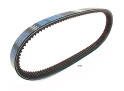 derbi variant DAYCO 8004 racing belt