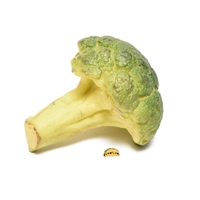 dirty piece of fake broccoli