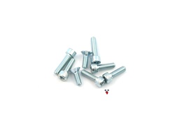 malossi VL8 4 petal allen bolt set