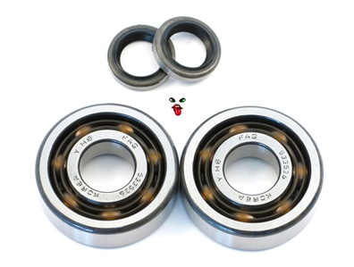 motobecane FAG bearings & seals set