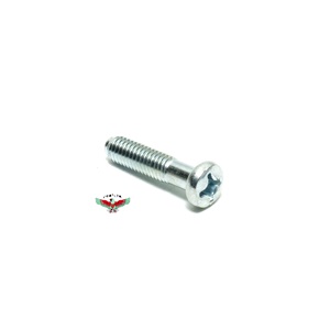 tomos OEM pickup bolt - m6 x 20mm phillips