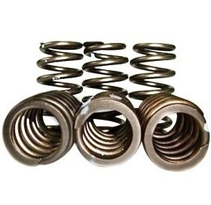 PacBrake 60lbs 12V Valve Springs