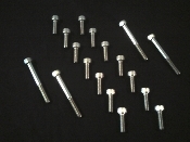 Crazy Carls Stainless Steel Intake Bolt Kit