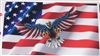 American Flag with Wing out attack Eagle Full color Graphic Window Decal Sticker