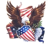 American Flag Eagle Holding Shield & Grape Vine Full color Graphic Window Decal Sticker