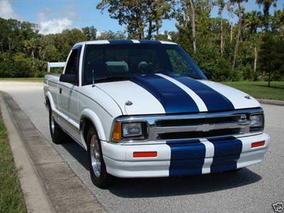 White S-10 w/ Blue 11" Plain Rally Stripes