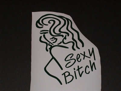 Sexy Bitch Decal