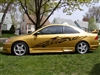 Gold Car w/ Black dragon graphics #3 16"x74"