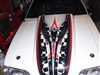 Adrenalin Rush Cowl Hood Stripe Graphic Decal FULL COLOR