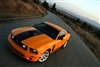 Orange Mustang w/ Black 16.5" Hood Stripe