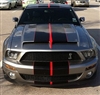Gray Mustang w/ Black & Red 10" 2 Color Rally Stripe Set