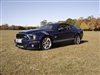 Blue Mustang w/ White Hash Mark Stripes