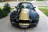 Black Mustang w/ Gold 20" Mustang Rally Stripe graphics set