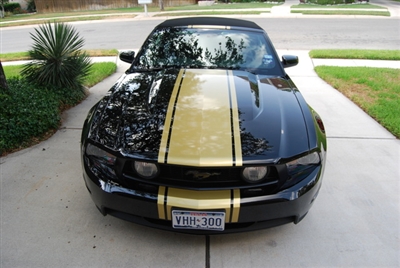 Black Mustang w/ Gold 20" Mustang Rally Stripe graphics set