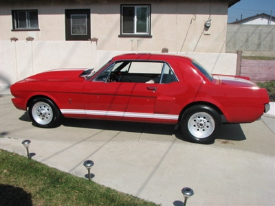 Red Mustang w/ White Rocker Stripes