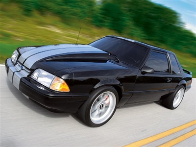 Black Mustang w/ 10" Rally Stripe Kit