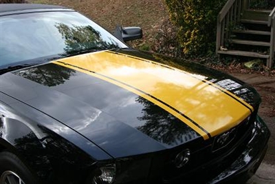 Black Mustang w/ Yellow 20" Hood Rally Stripe