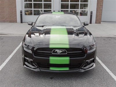 Mustang 11" Center Rally Stripes