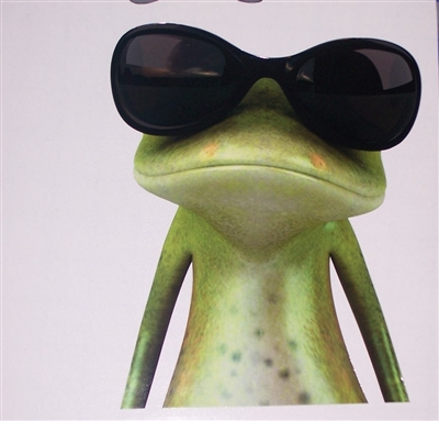 Sun Glass's Frog 7" x 9.5" Decal