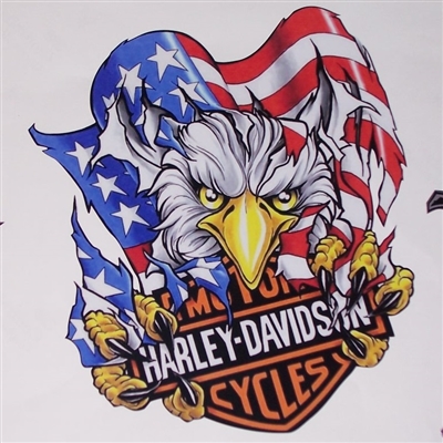 Harley Davidson American Flag Attack Eagle Full color Graphic Window Decal Sticker