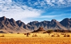 Desert Scene #5 Wall/RV Decal