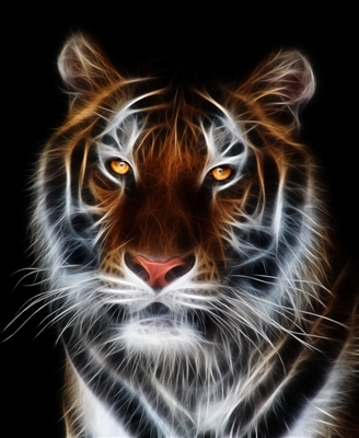 LARGE tiger #3 RV/Wall Decal