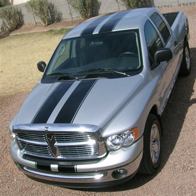 Silver Truck w/ Black 10" Rally Stripes With .5 Space and .5 stripe