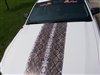 White car w/ Snake Skin rally Stripe set