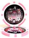 Ace Casino Poker Chips - $5000