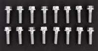 1966 - 1972 Big Block Aluminum Intake Manifold Mounting Bolts Set