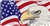 License Plate, American Flag with Bald Eagle