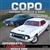 COPO Camaro, Chevelle and Nova: Chevrolet's Ultimate Muscle Cars Book, By Matt Avery