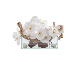 Modern Floral Arrangement Glass and Stone White Orchids 12"