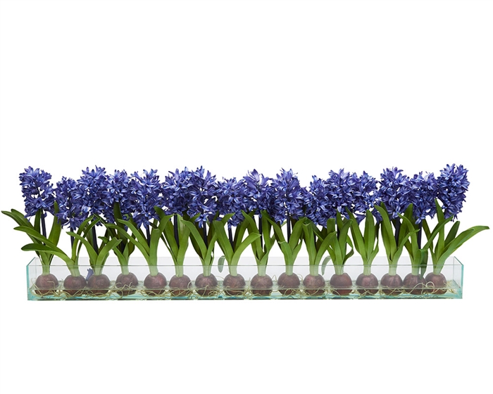 Modern Hyacinths on Casa Moderna Planter - BLUE