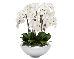 Avenue bowl with multiple stems of white Phalaenopsis orchids. - * Special Order