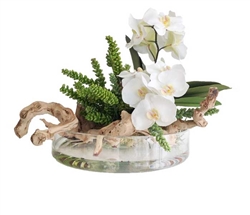 White Orchid and Round Modern Vase Arrangement 16"D