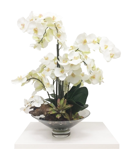 White Orchids in Harlow Bowl