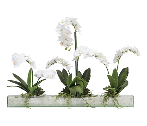 Orchid Garden Modern Floral Arrangement