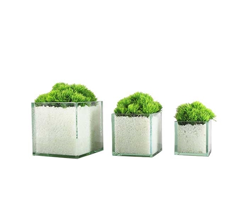 Glass Plate Cube Modern  Planters